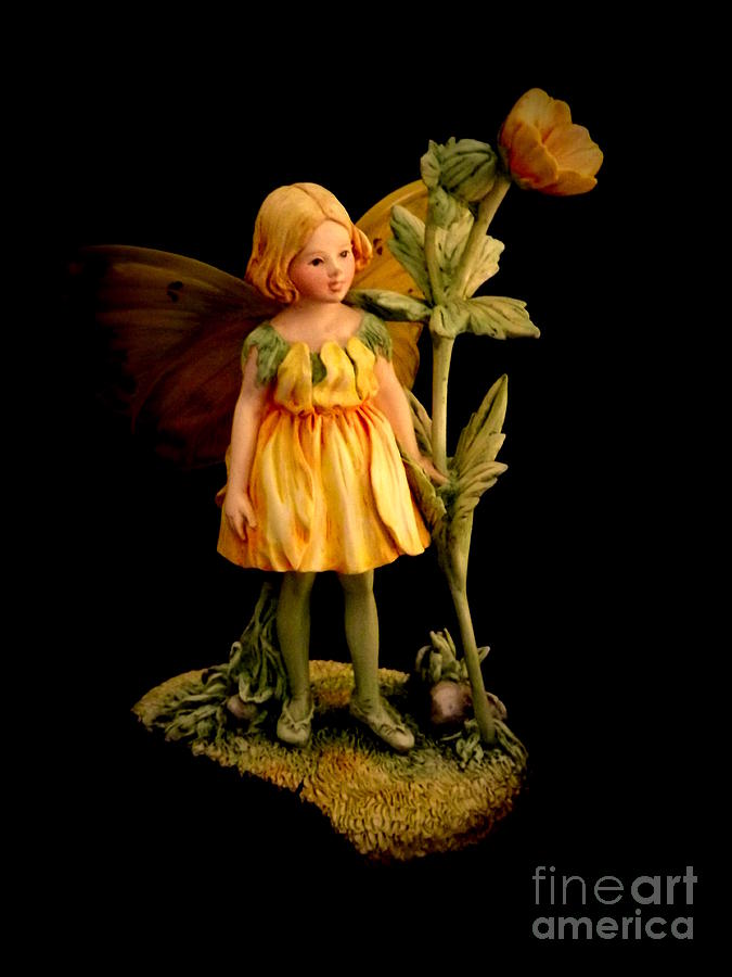 Fairy Photograph by Linsey Williams