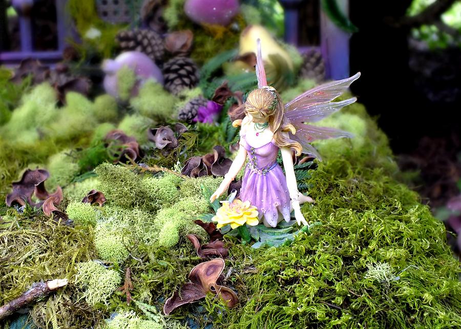 Faerie Photograph by Peggy King