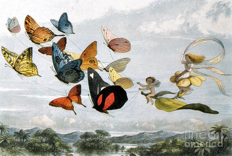Richard Doyle Photograph - Fairy Queen Takes A Drive by Photo Researchers