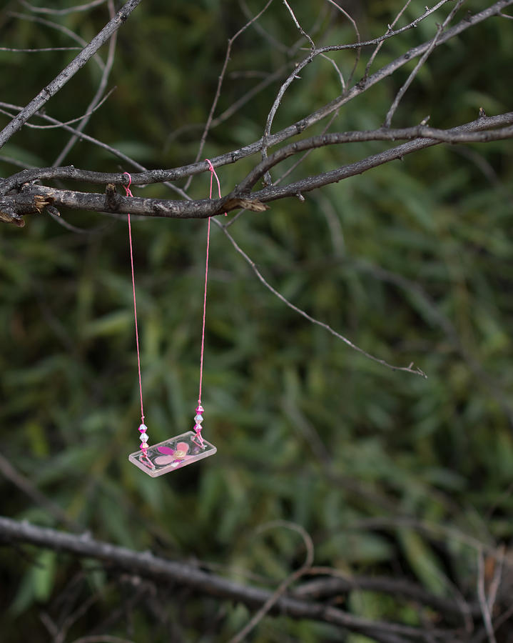 Fairy Swing Photograph by Ernest Echols