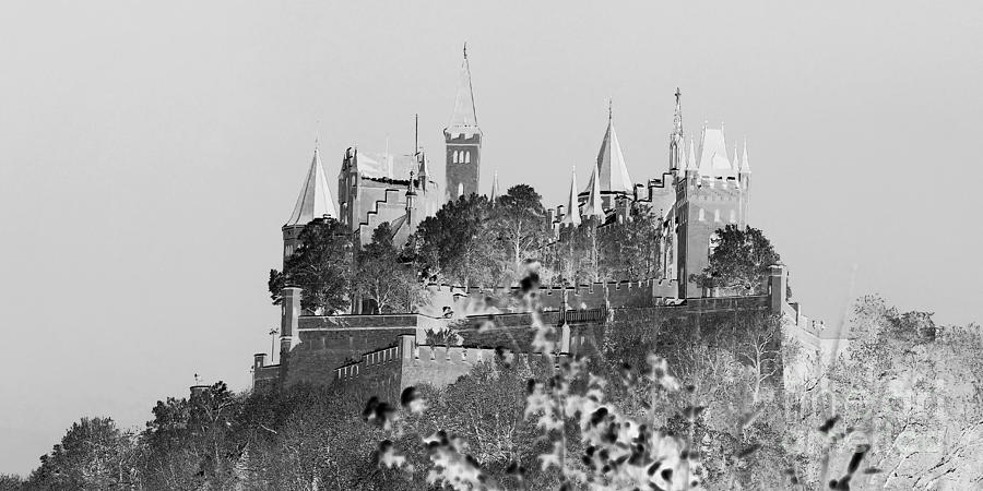Fairy Tale Castle 1 Digital Art by Rudi Prott