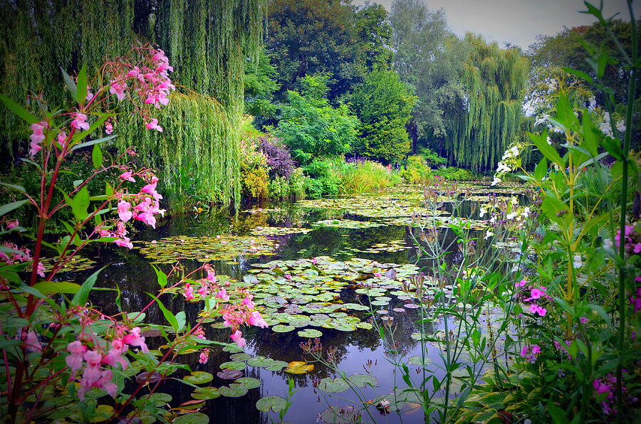 Fairy Tale Pond with Water Lilies and Willow Trees Photograph by Carla Parris