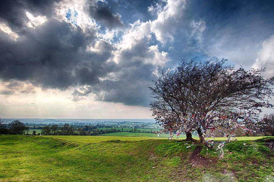 Fairy Tree 2 - Hill of Tara - County Meath - Ireland Photograph by Bruce Friedman