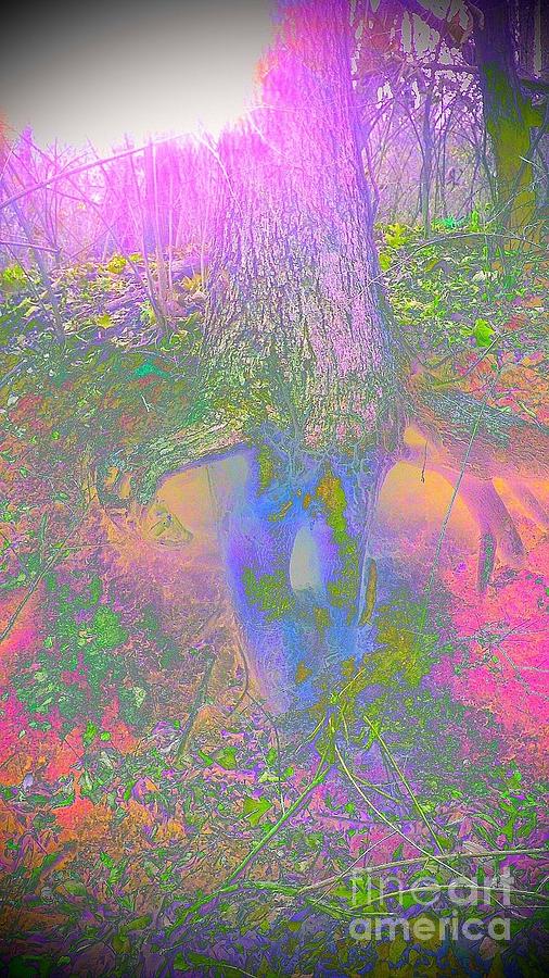 Fairy Tree Photograph by Karen Newell