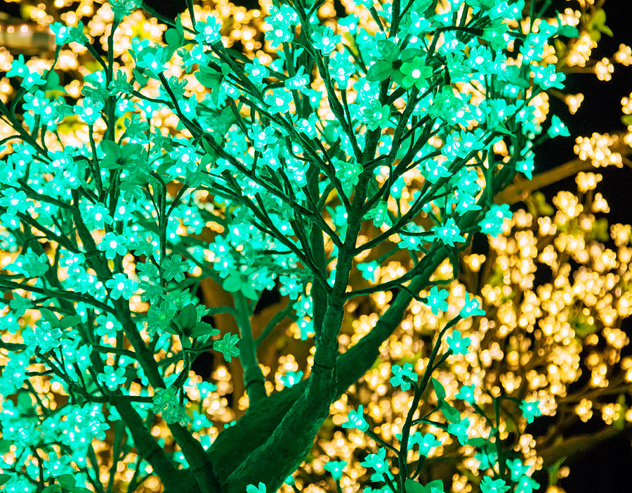 Lamp Photograph - Fairy Tree by Nicholas Blackwell