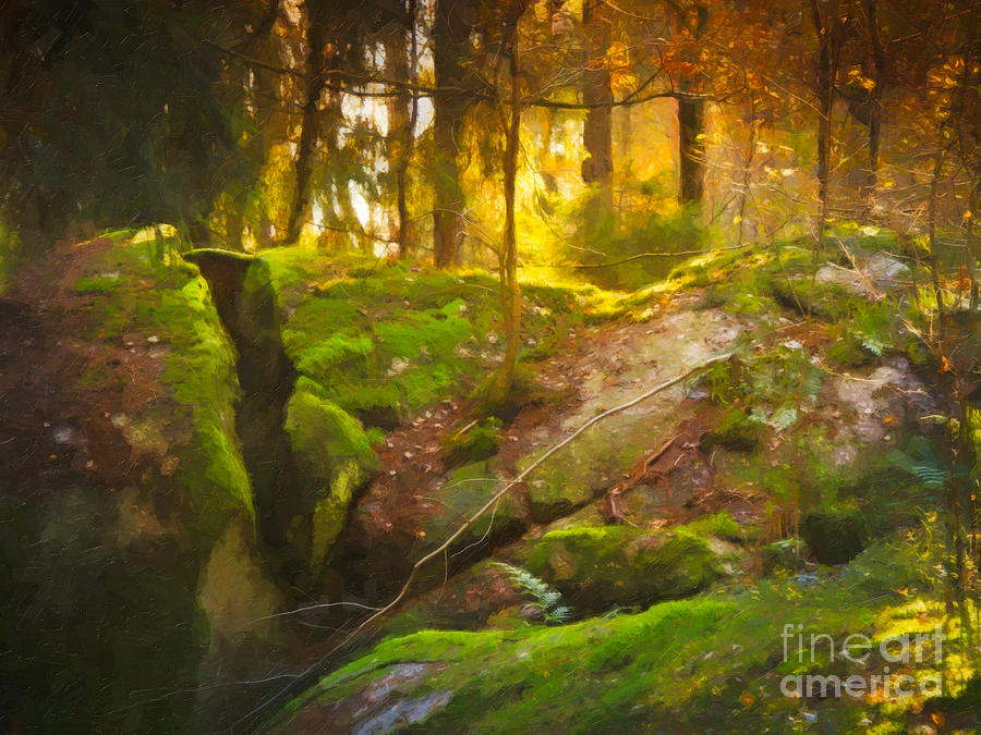 Fairytale Forest Photograph by Lutz Baar