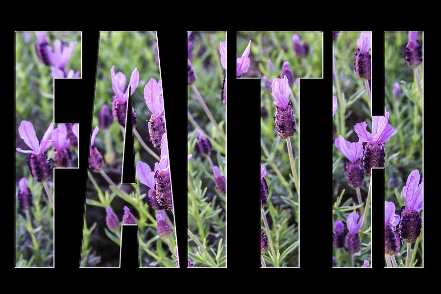 Faith in Spanish Lavender on Black from the Faith Hope and Love Series Photograph by Karen Stephenson