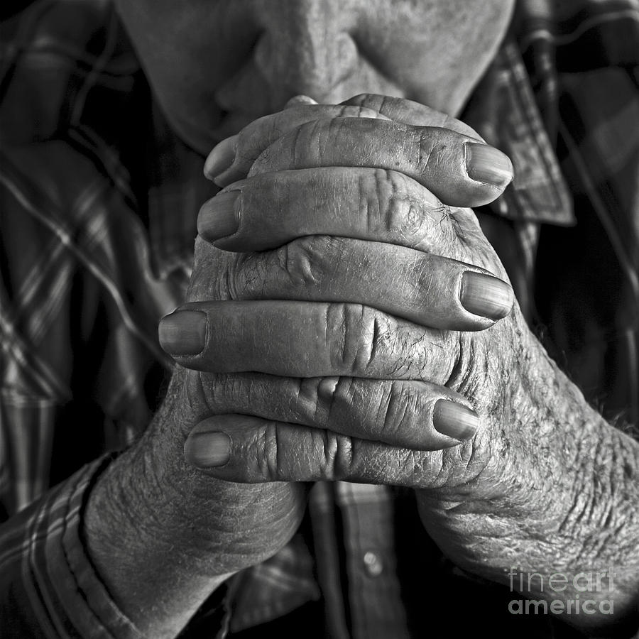 Faithful Hands 2 Photograph by Pattie Calfy