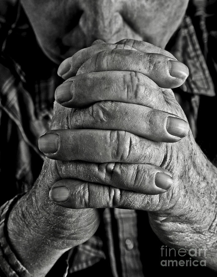 Faithful Hands Photograph by Pattie Calfy