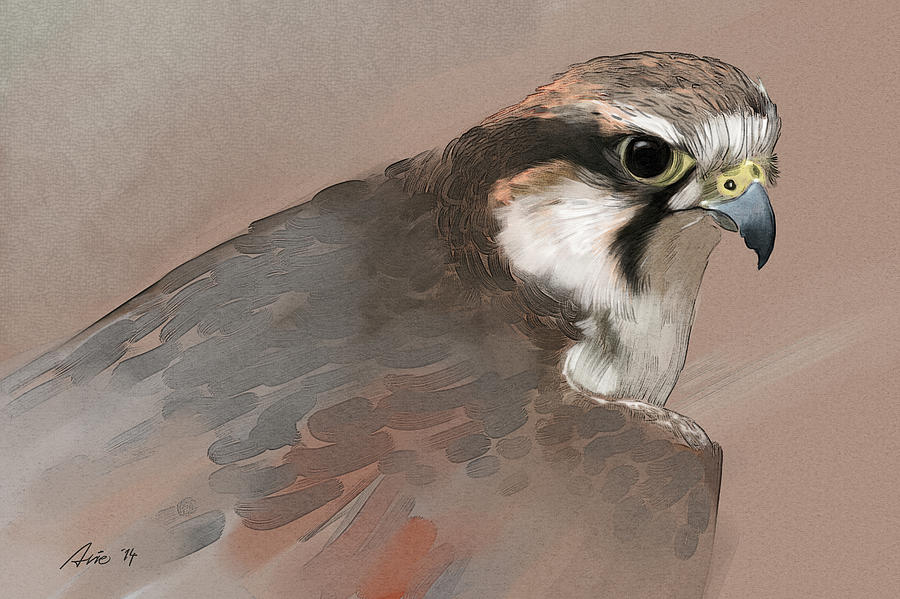 Falcon Digital Art by Arie Van der Wijst