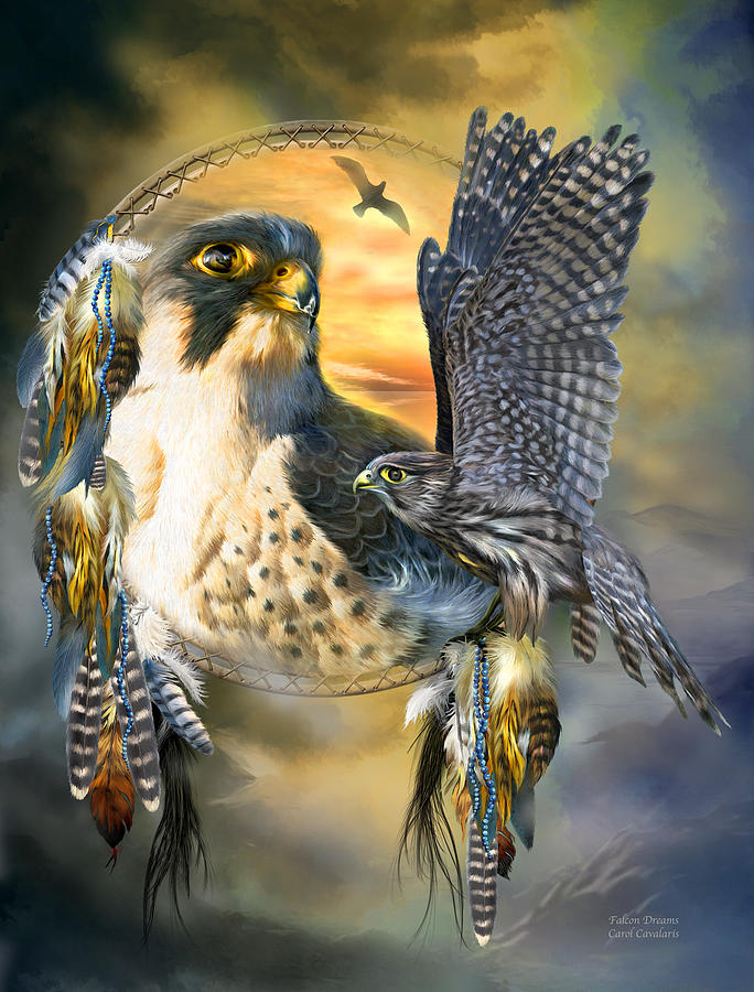 Falcon Mixed Media - Falcon Dreams by Carol Cavalaris
