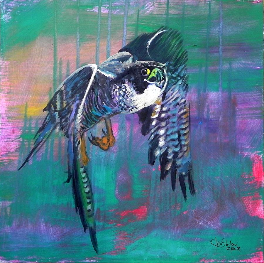 Falcon Painting by Jolanta Shiloni