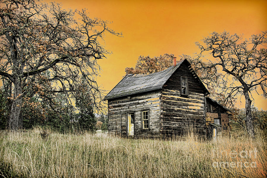 Fall Abandoned Photograph by Steve McKinzie