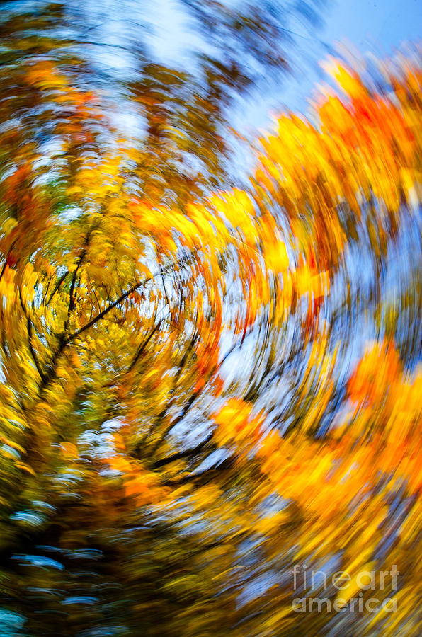 Fall Abstract Along the Maumee River Photograph by Michael Arend