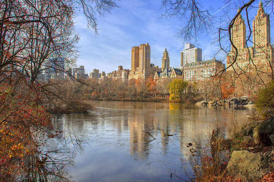 Fall Afternoon At Central Park Photograph by Tim Reaves