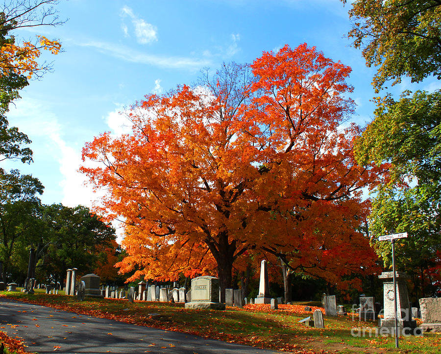 Fall Afternoon in the Cemetery Photograph by Rita Brown