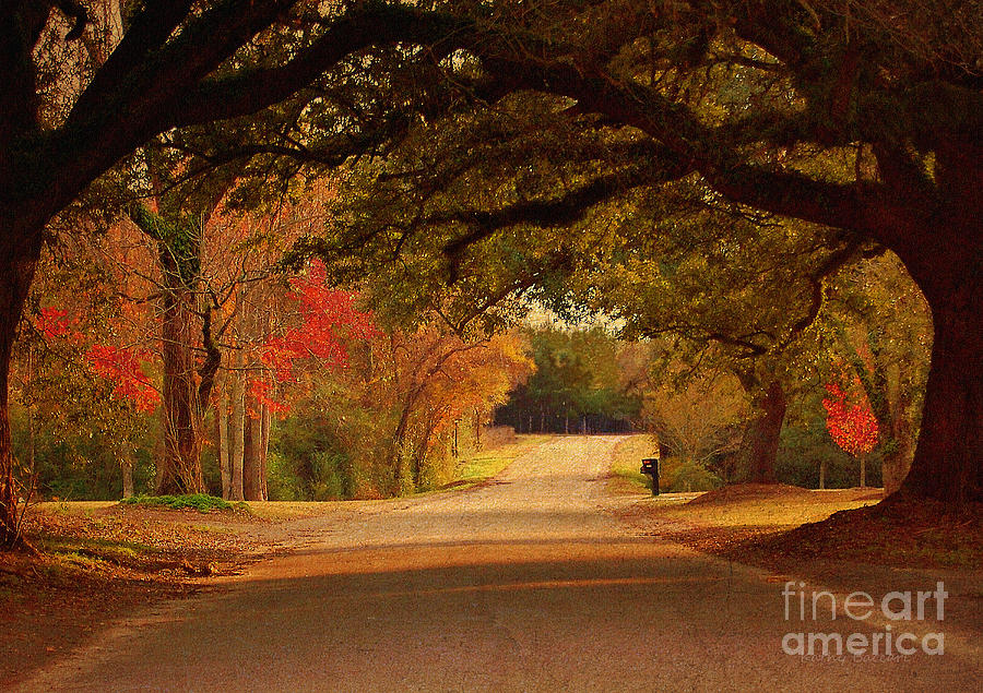Fall Along A Country Road Photograph by Kathy Baccari