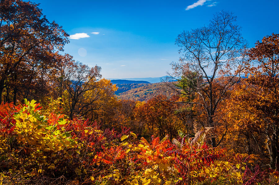 Fall Along the Blue Ridge Photograph by Lynn Bauer