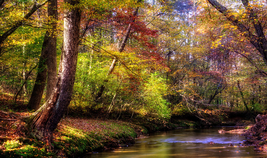 Fall Along The Creek Bank Photograph by Greg and Chrystal Mimbs