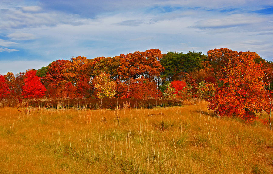 Fall along the highway Photograph by Andy Lawless