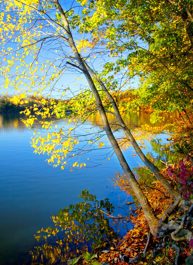 Fall along the Lakeshore Photograph by Carolyn Derstine
