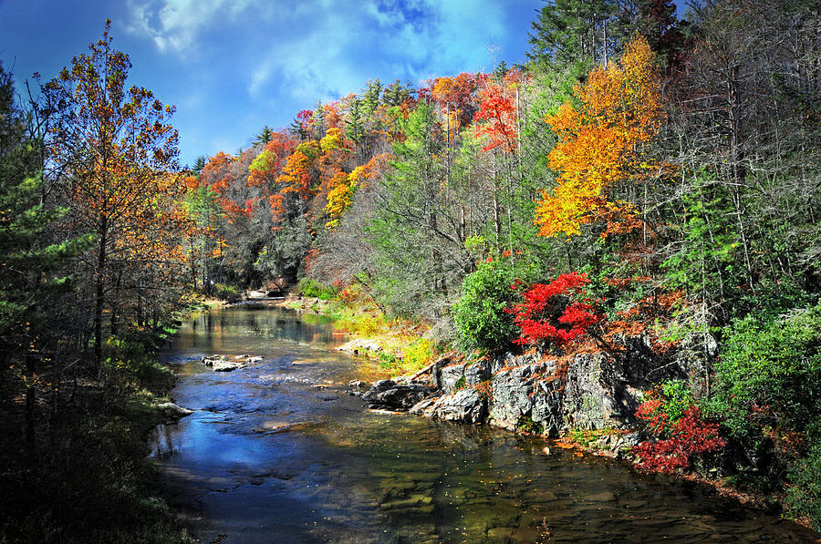 Fall Photograph - Fall Along the Linville River by Lynn Bauer