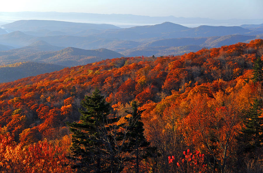 Fall along the Ridge Photograph by Lynn Bauer