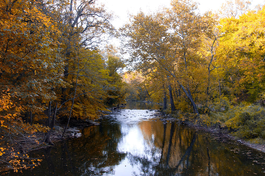 Fall Photograph - Fall Along the Wissahickon by Bill Cannon