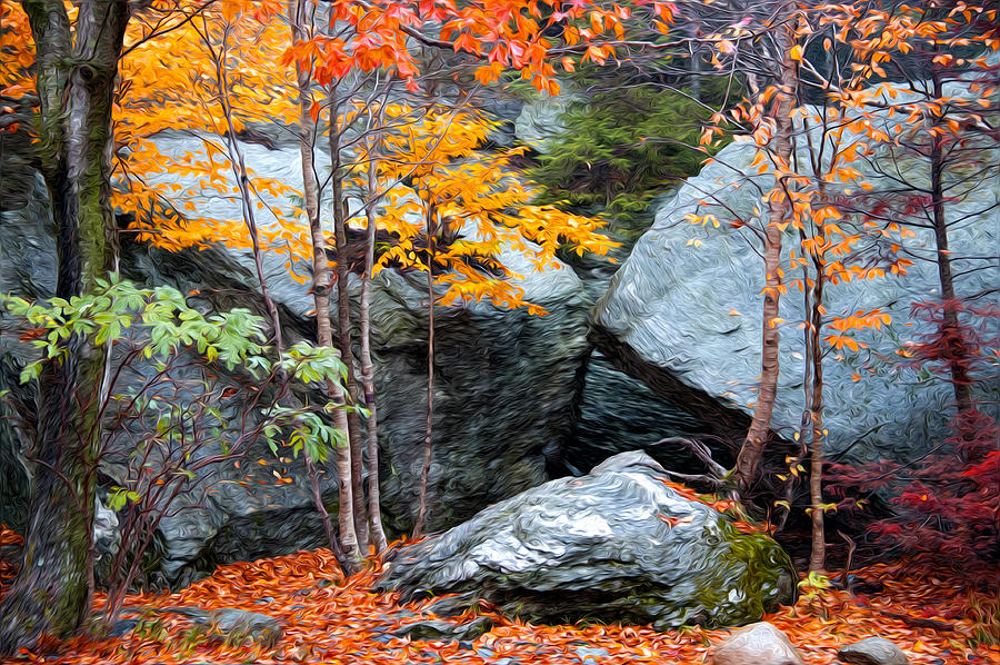 Fall Among The Rocks Photograph by Bill Howard