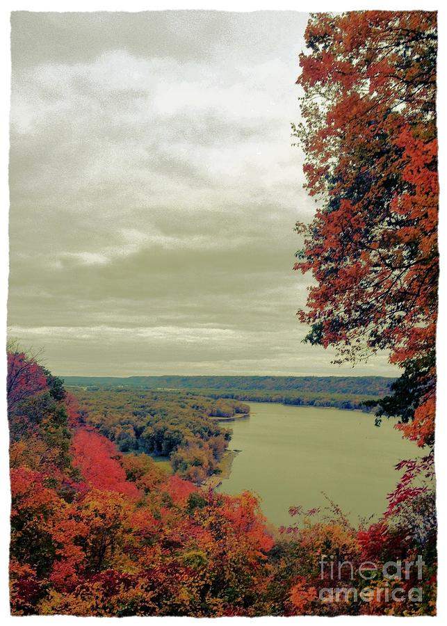 Tree Photograph - Fall and the Mississippi by Garren Zanker