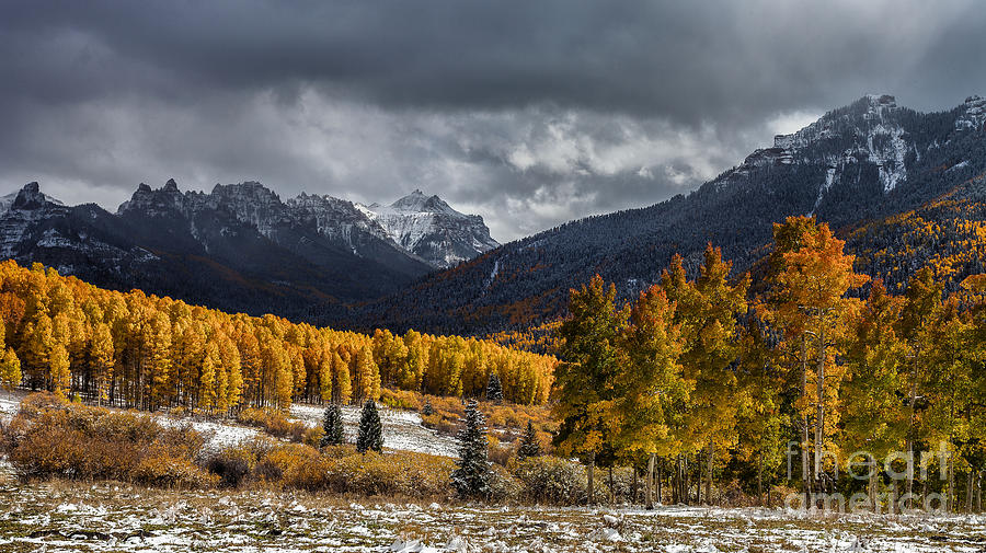 Fall and Winter Photograph by Steven Reed