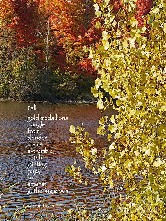 Fall Photograph by Ann Horn