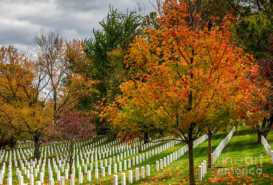 Fall Arlington National Cemetery  Photograph by Gary Whitton