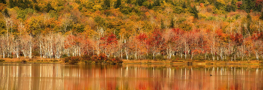 Fall at Basin Pond Photograph by Gordon Ripley
