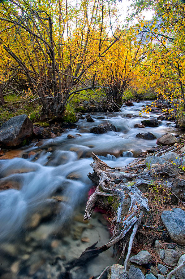 Fall Photograph - Fall at Big Pine Creek by Cat Connor