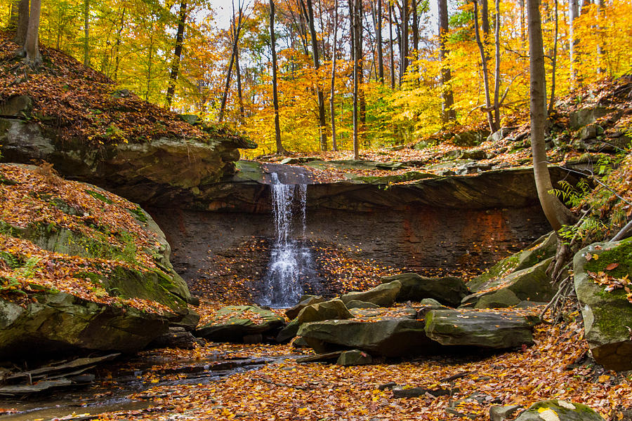 Fall at Blue Hen Falls Photograph by Dave Whited - Fine Art America