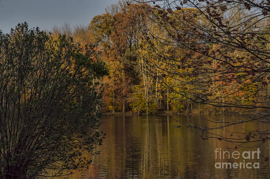 Fall At Brinton Lake Photograph