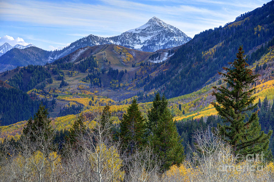 Fall at Cascade Peak and Sundance from Alpine Loop  Photograph by Gary Whitton