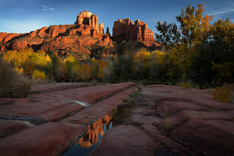 Fall at Cathedral Rock Photograph by Dominique Dubied