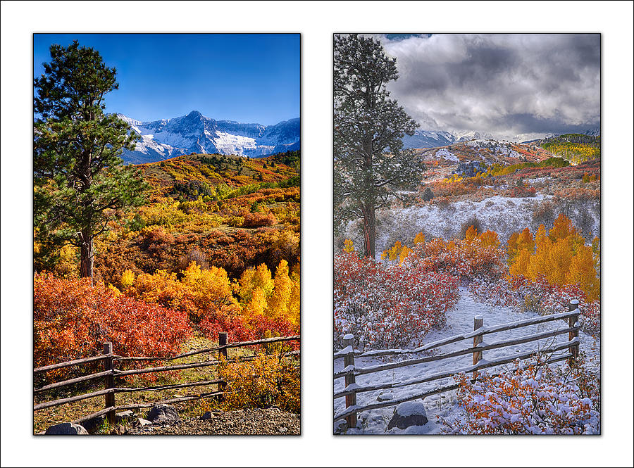 Fall at Dallas Divide Diptych Photograph by Priscilla Burgers