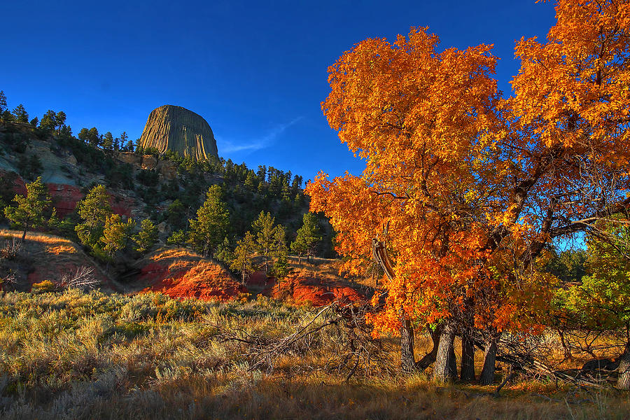 Fall at Devils Tower Photograph by Chris Allington