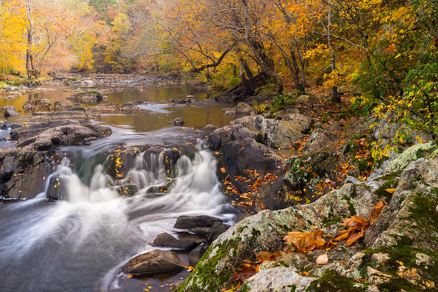 eno river fews fords shelter