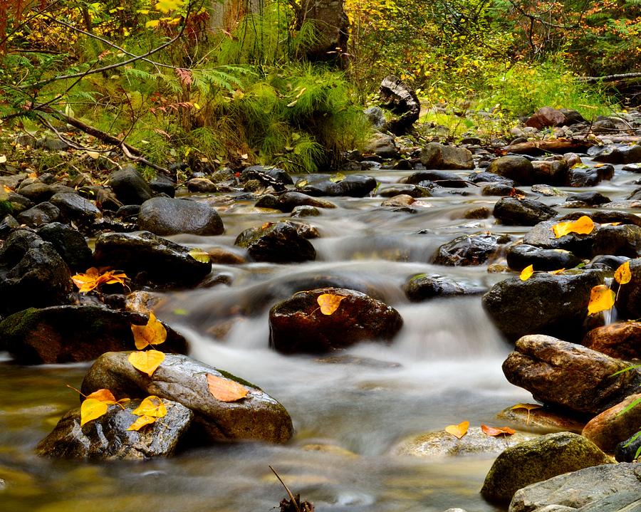 Fall Photograph - Fall at K.L.O. Creek by Phil Dionne