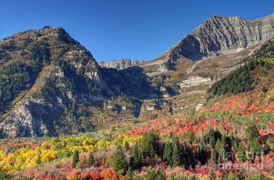 Fall at Mt. Timpanogos from Sundance - Utah  Photograph by Gary Whitton