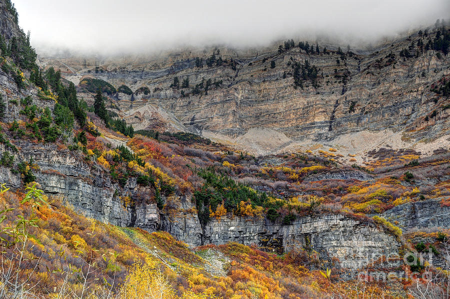 Fall at Mt. Timpanogos - Utah Photograph by Gary Whitton