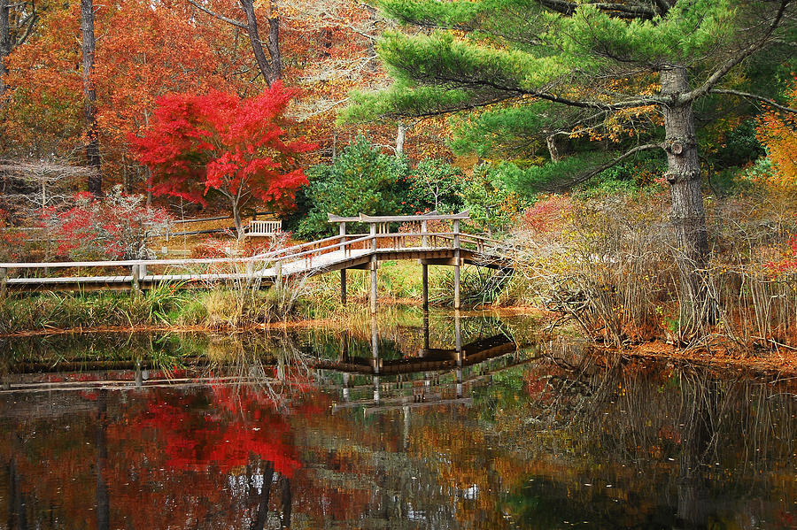 Fall Photograph - Fall At Mytoi Gardens by Dan Myers
