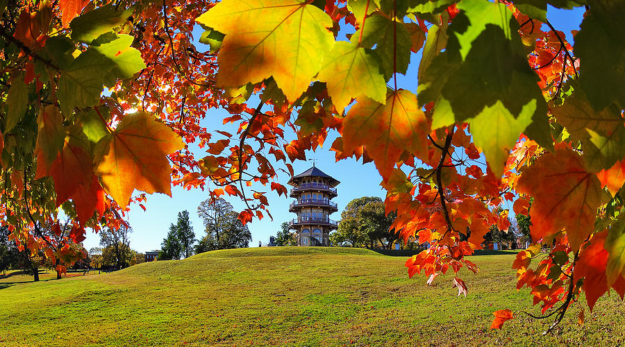 Patterson Park in Fall Photograph by SCB Captures