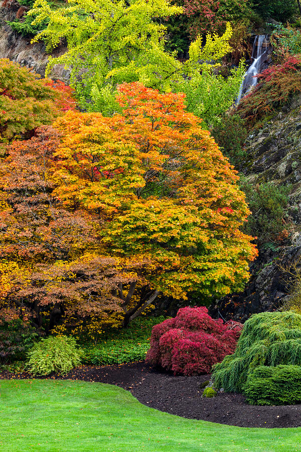 Fall at Queen Elizabeth Park Photograph by Michael Russell