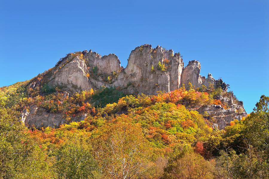 Fall at Seneca Rocks Photograph by Mary Almond