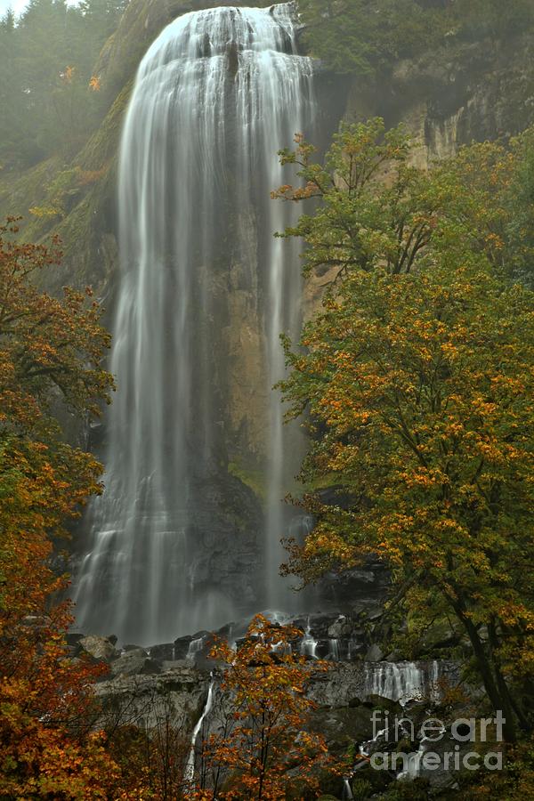 Silver Falls Photograph - Fall At Silver Falls by Adam Jewell